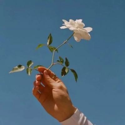 8868体育官方入口截图